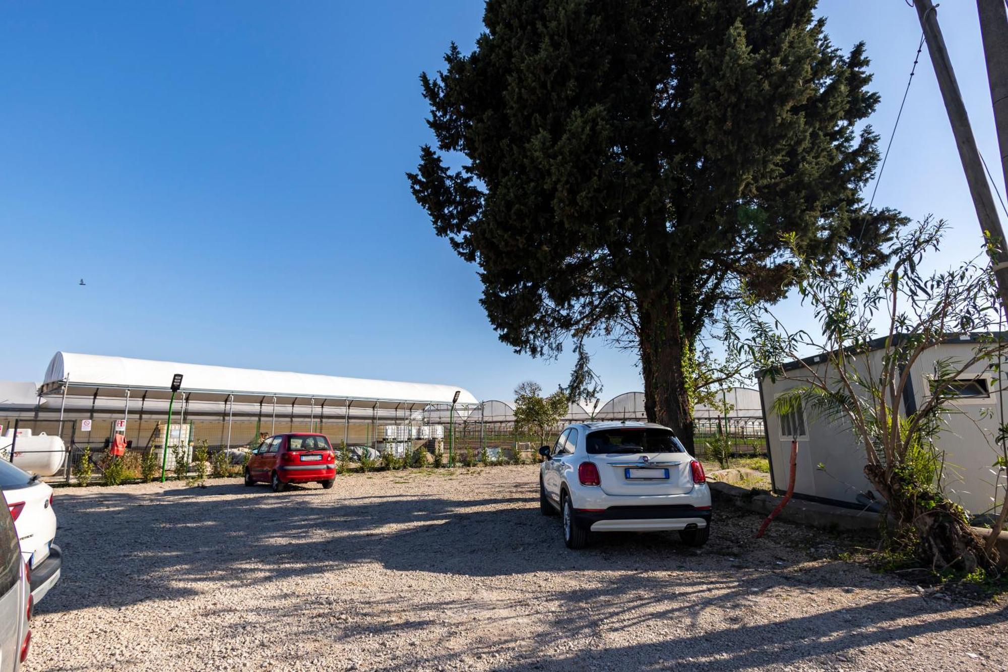 Cientopera Suite Rooms Pontecagnano Dış mekan fotoğraf